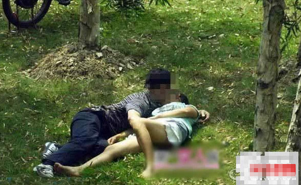 最新野戰(zhàn)門圖片庫，探索與賞析