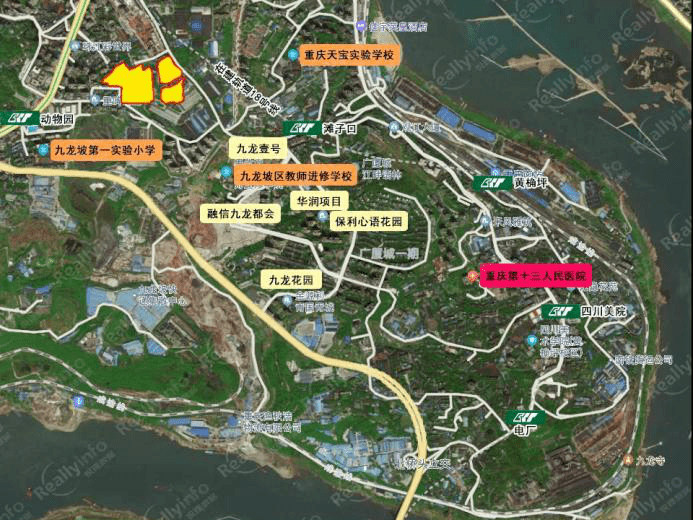 揭秘九龍半島最新重磅消息????