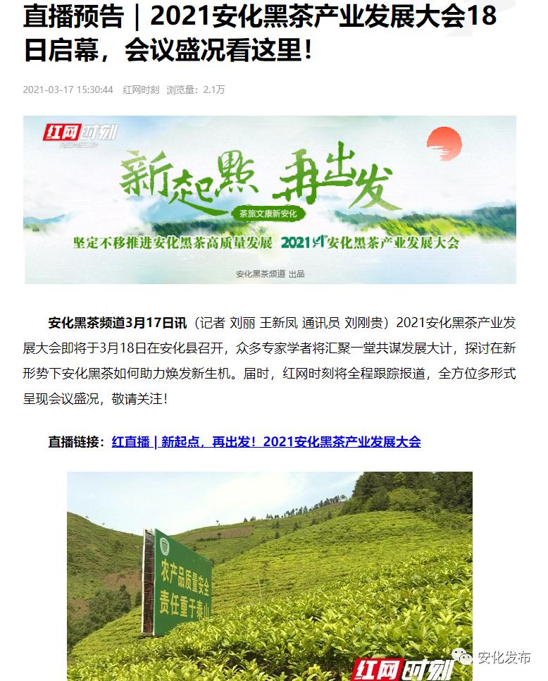 安化黑茶最新動態(tài)，茶韻變遷，自信與成就感的源泉