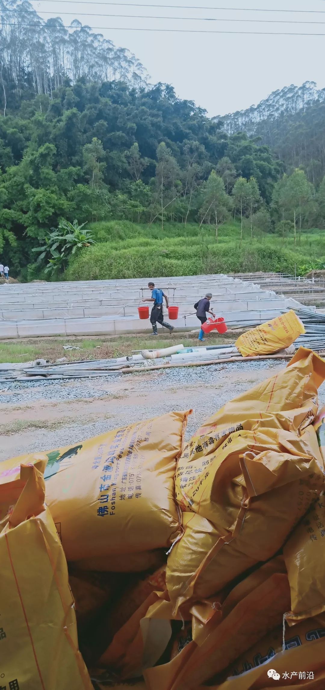 泰蛙最新價格，時代背景下的市場變遷分析