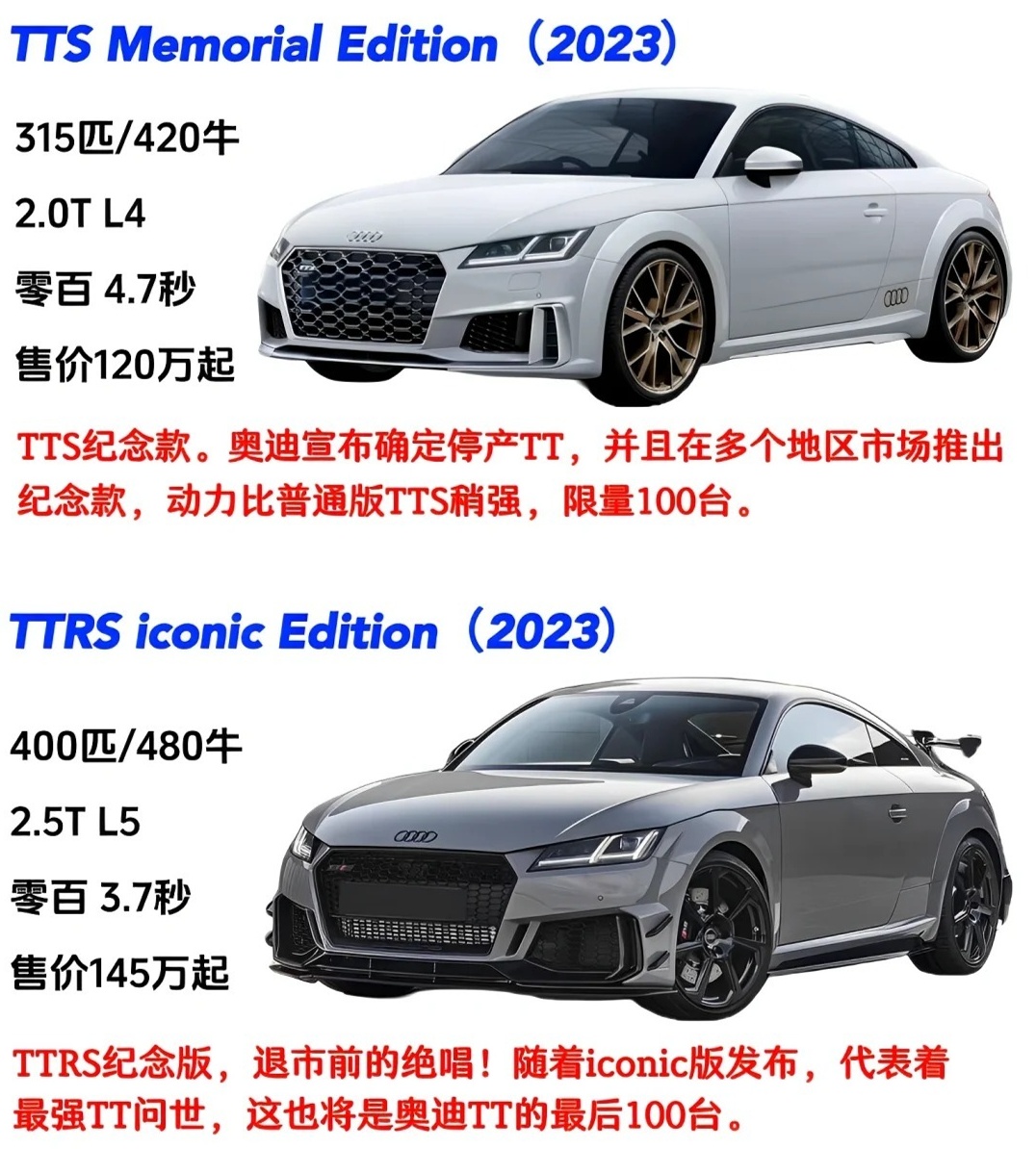 最新TT日常趣事與友誼的溫馨時光