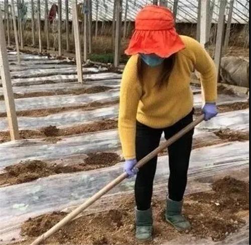 孟州最新招聘信息全面概覽