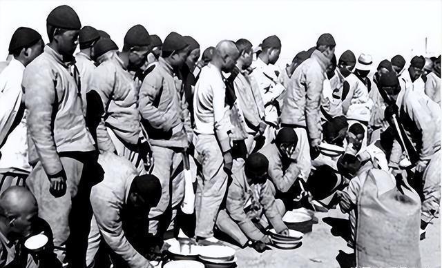 全球移民最新動(dòng)態(tài)，熱門目的地分析與趨勢展望