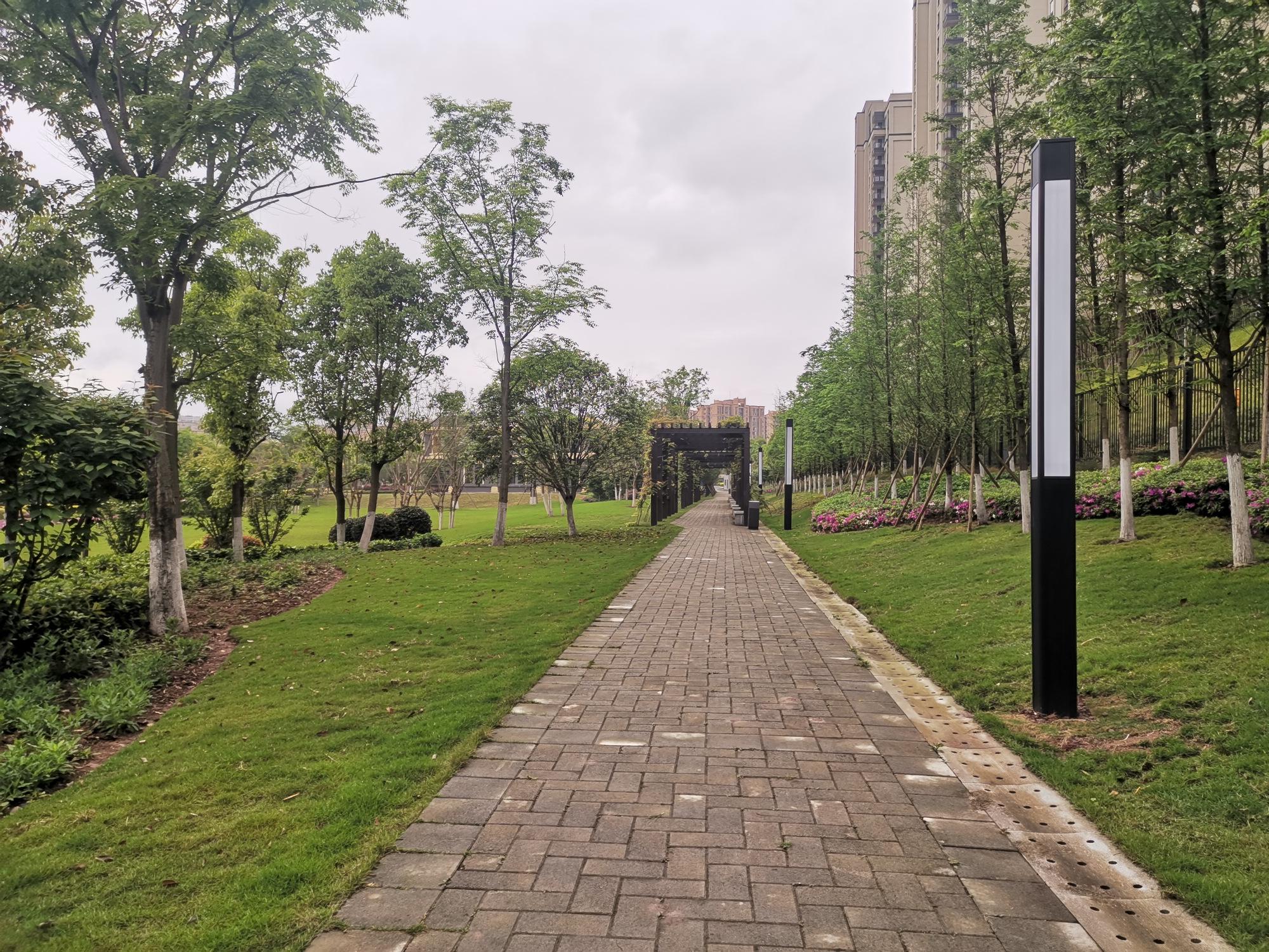 重慶蔡家最新動態(tài)速遞????