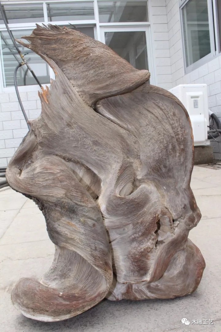 崖柏最新資訊，入門指南、最新動(dòng)態(tài)一網(wǎng)打盡