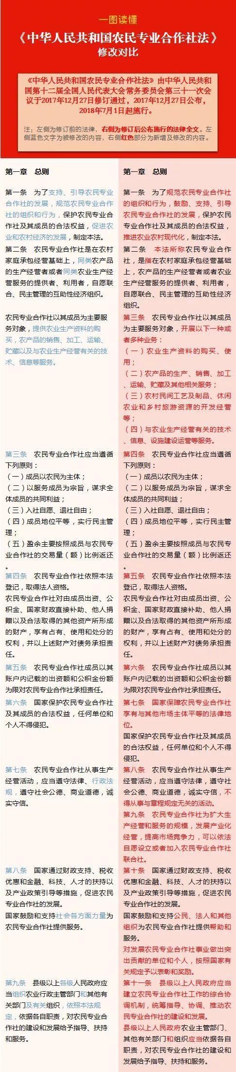 合作社最新政策揭秘，巷弄中的隱藏寶藏大探秘