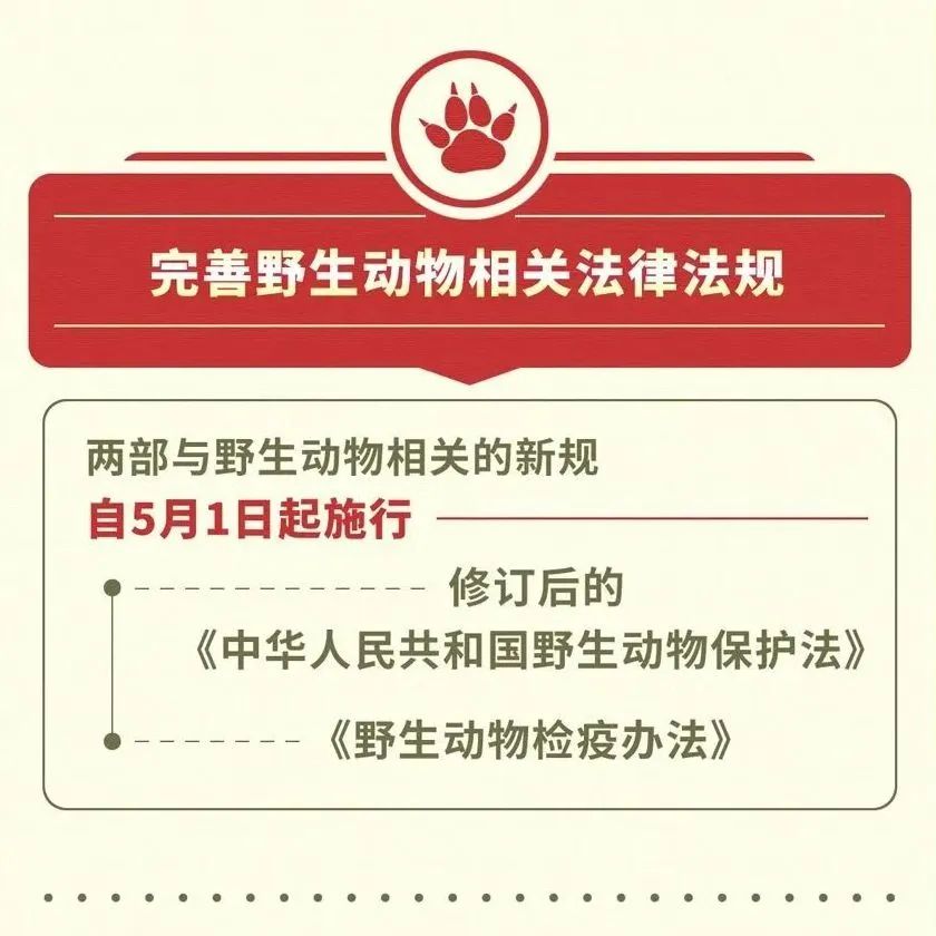 野生動(dòng)物保護(hù)法最新進(jìn)展與時(shí)代地位，背景、影響及最新法規(guī)解析