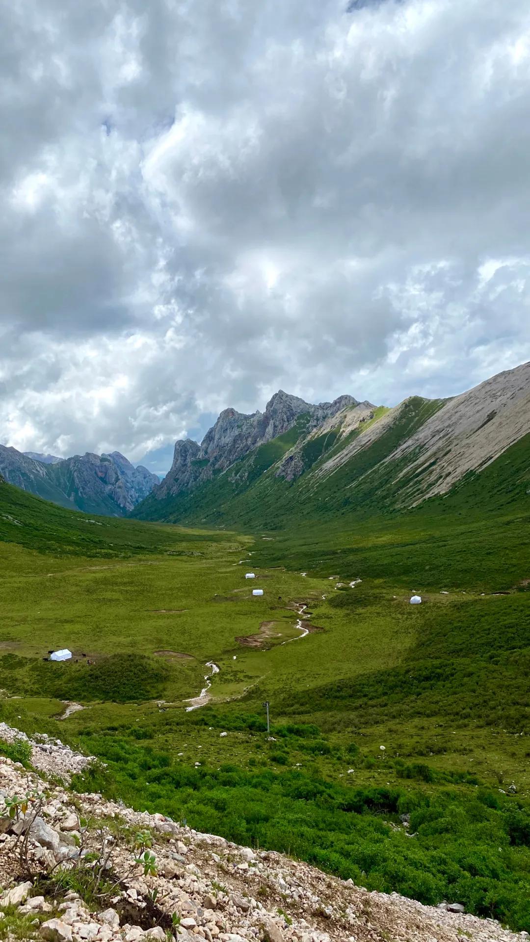 扎尕那最新路況論述與更新