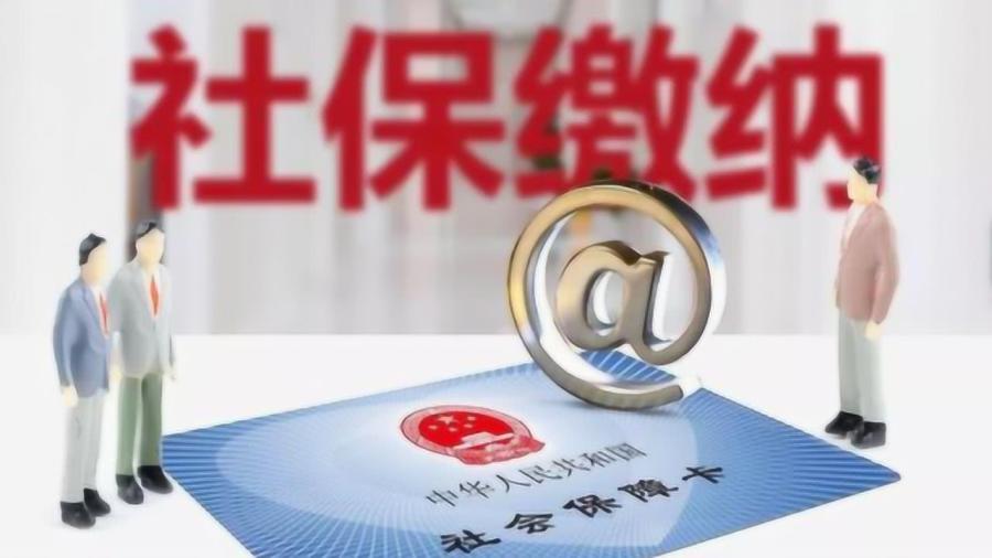 保險(xiǎn)最新動態(tài)，學(xué)習(xí)變革，開啟自信與成就之旅