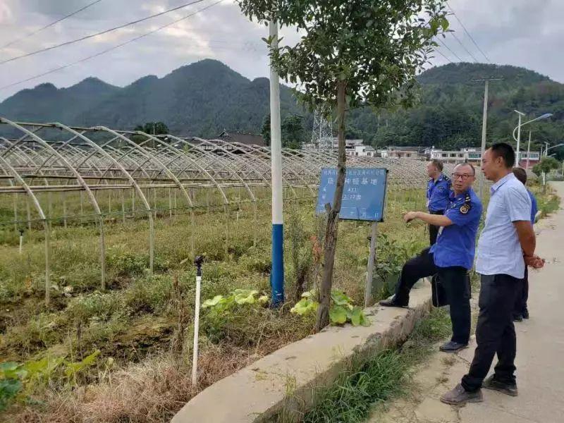 超范圍經(jīng)營最新處罰的探討與觀點(diǎn)分析