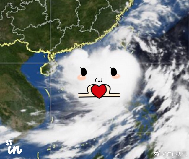 天鴿風臺最新動態(tài)更新與深度解析報道速遞