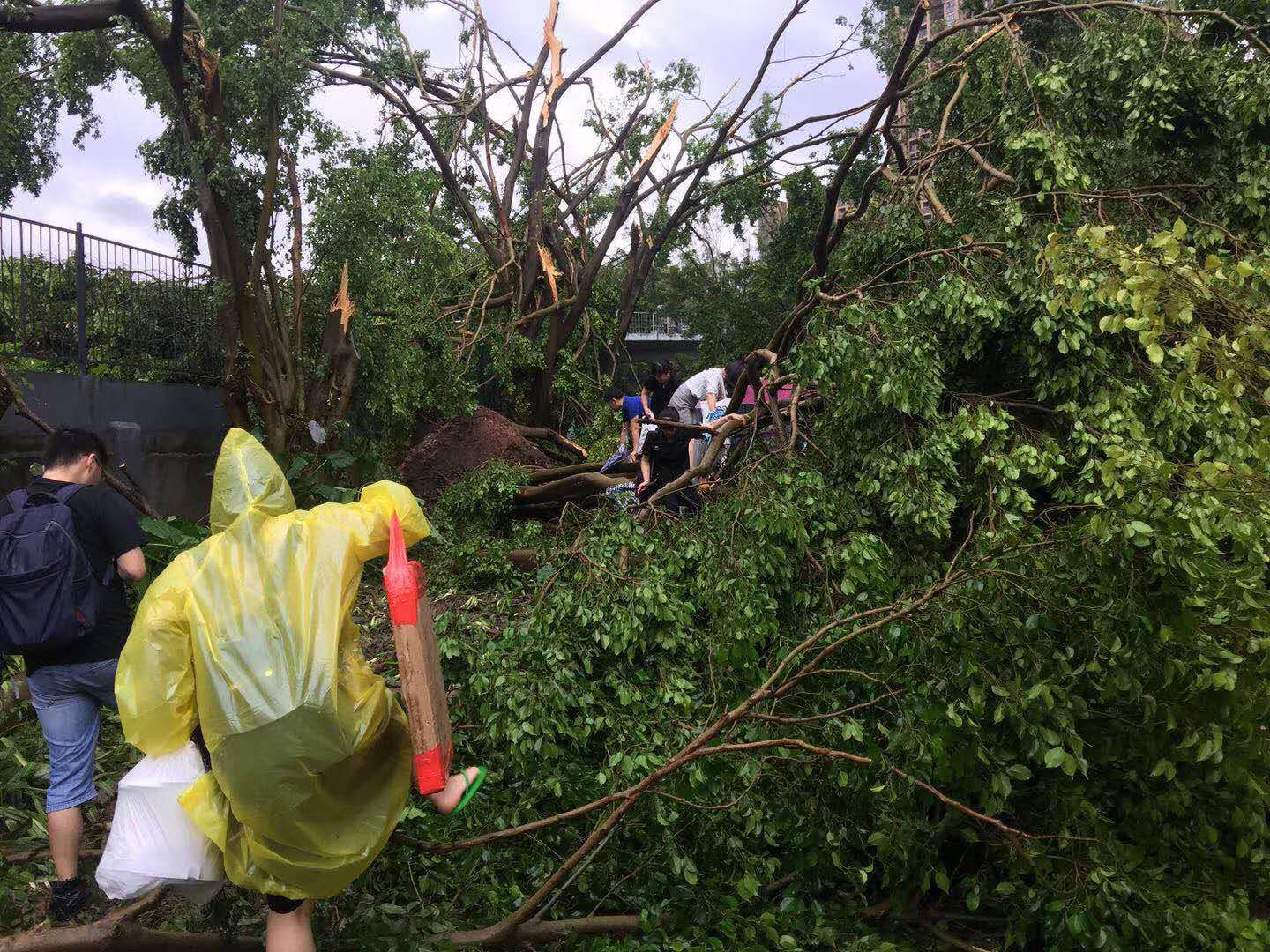 深圳臺風(fēng)最新動態(tài)，風(fēng)眼之舞，城市挑戰(zhàn)與應(yīng)對策略