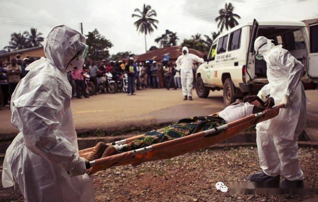 中國最新疫情爆發(fā)，變化中的學(xué)習(xí)展現(xiàn)自信與成就的力量