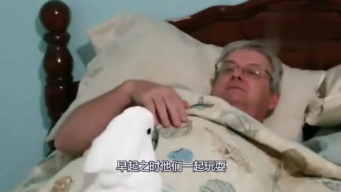 熱門H漫與H元素趨勢聚焦，最新漫畫討論與趨勢分析