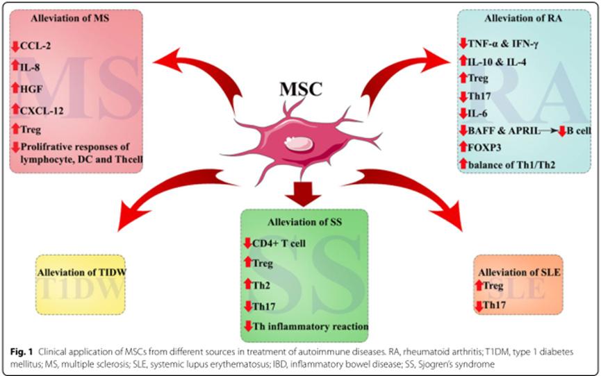 最新疾病挑戰(zhàn)，旅程中的學(xué)習(xí)與力量賦予，自信與成就感的源泉