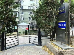 草遛社區(qū)探秘，巷弄中的隱藏瑰寶最新揭秘