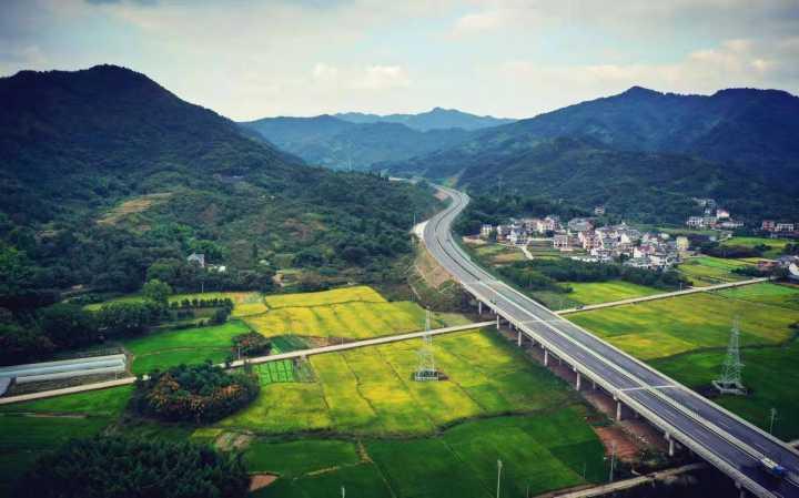 臨金高速最新動(dòng)態(tài)更新，最新消息匯總