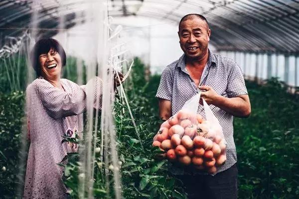 協(xié)鑫光伏最新招聘啟事，開啟光伏人生，共筑陽光夢想！