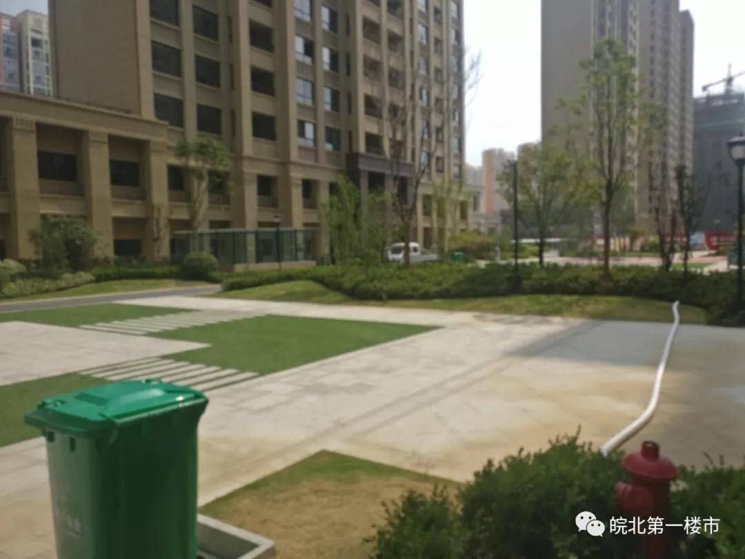 科技美學新視界，最新高清壁紙欣賞