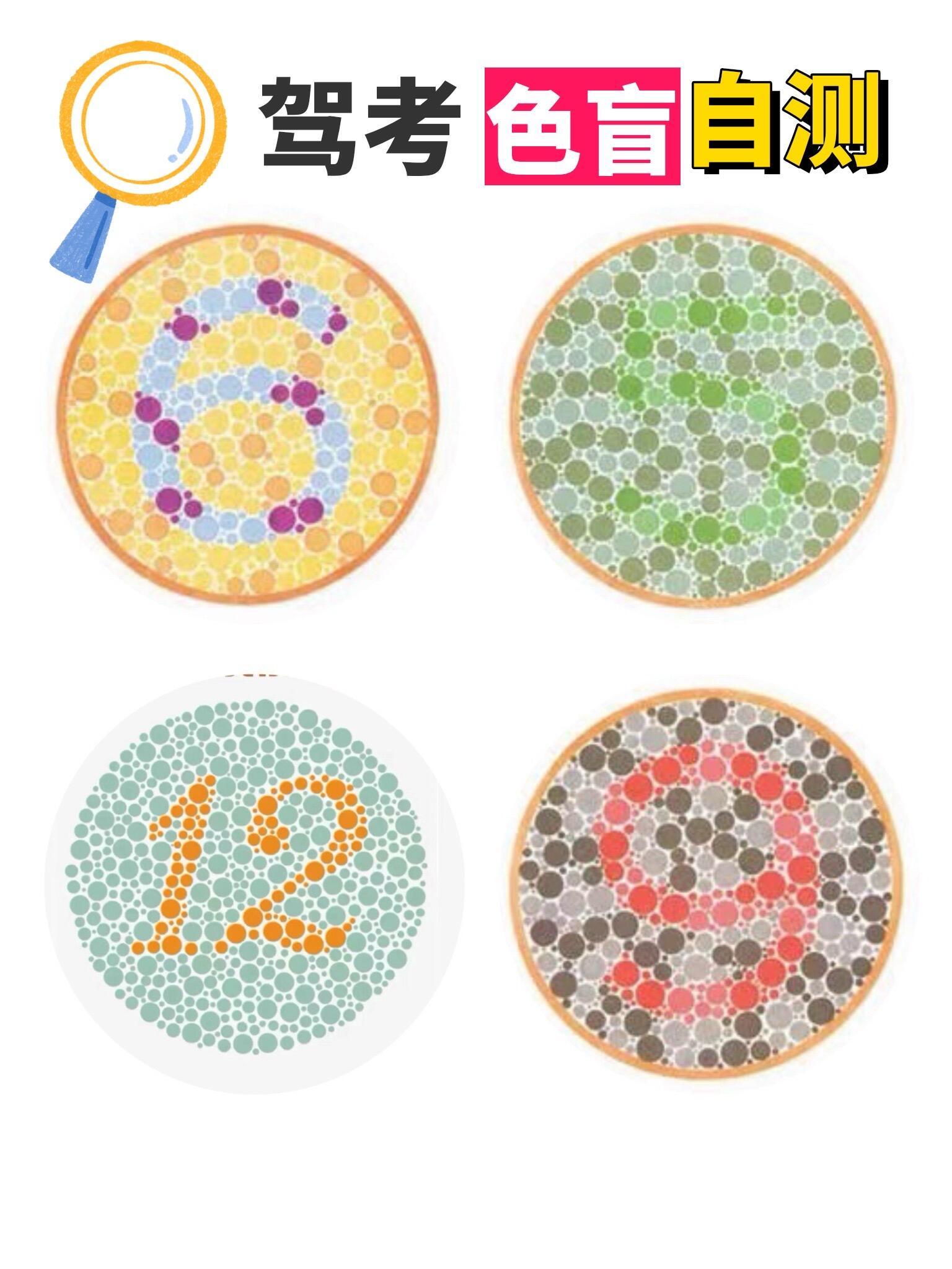 色盲測試圖最新版，變化中的學(xué)習(xí)之路，自信與成就感的起點