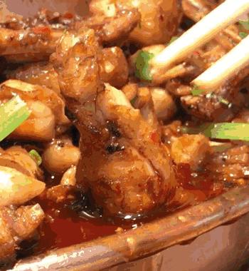 一網(wǎng)打盡熱門(mén)網(wǎng)紅福利，成為真正的網(wǎng)紅達(dá)人必備秘籍！