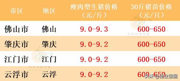今日豬肉市場最新價格與小巷深處的豬肉故事