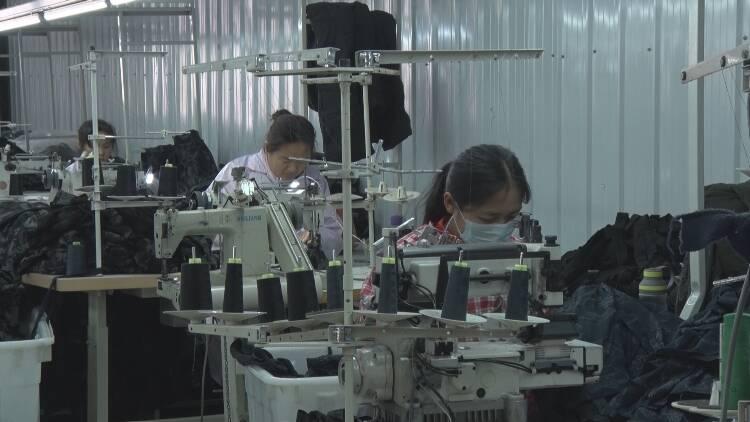 成武新聞最新動態(tài)，擁抱自然，踏尋內(nèi)心平靜的旅行