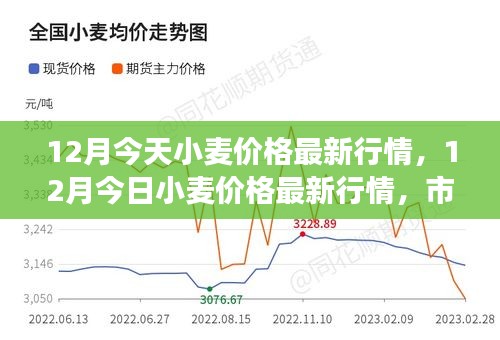 小麥最新行情價(jià)格走勢分析/動(dòng)態(tài)報(bào)告及趨勢預(yù)測