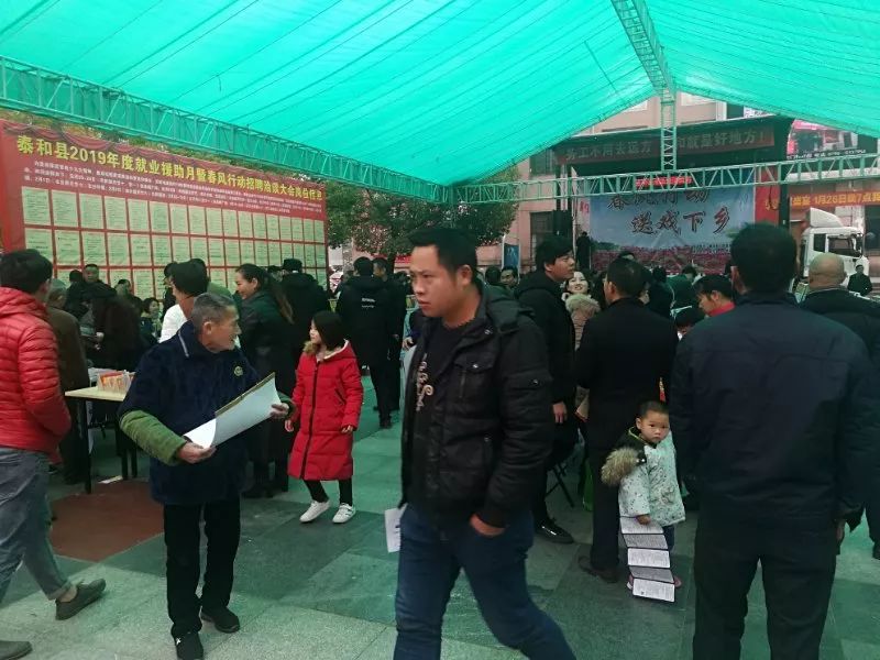 泰和最新招聘信息揭秘，全新崗位等你來挑戰(zhàn)！