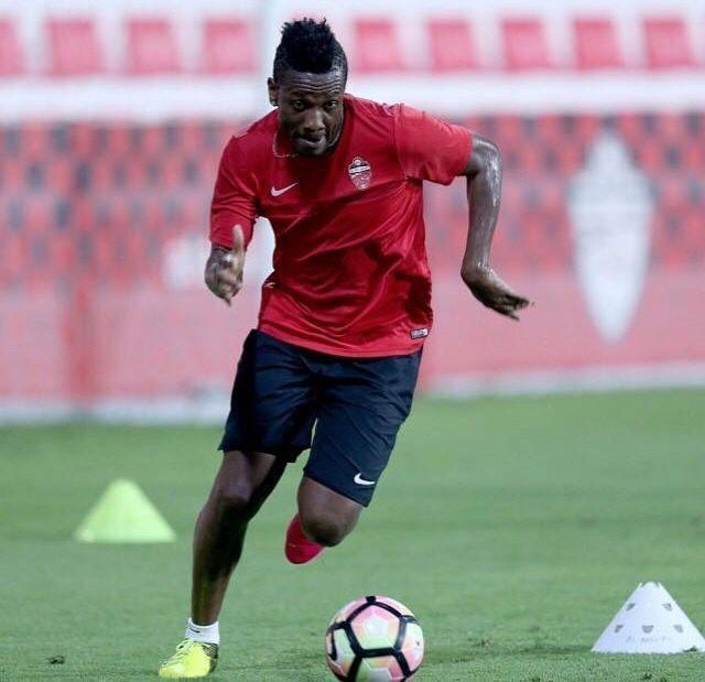 加納最新新聞，一個溫馨的日常故事更新報道