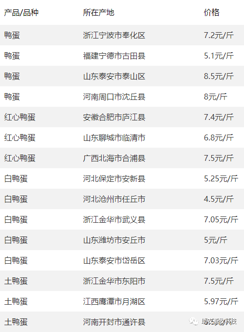 白羽肉雞價格指南，最新查詢、理解與掌握信息的步驟