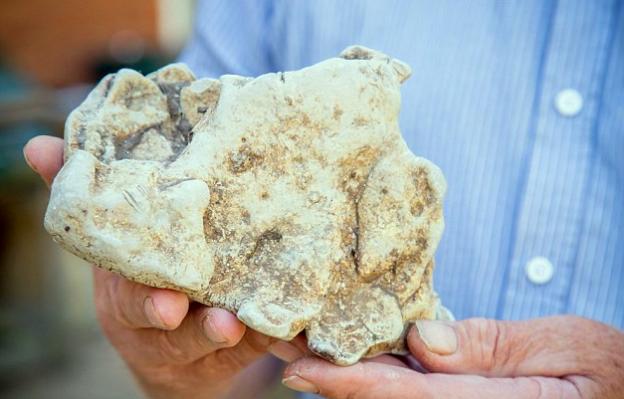 黃金最新分析與友情閃耀的日常觀察