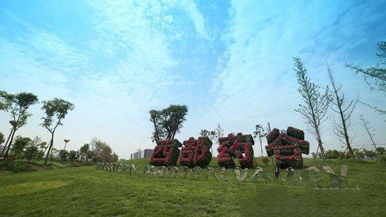 蘭州新區(qū)特色小店驚艷亮相，小巷深處的獨(dú)特風(fēng)味最新新聞