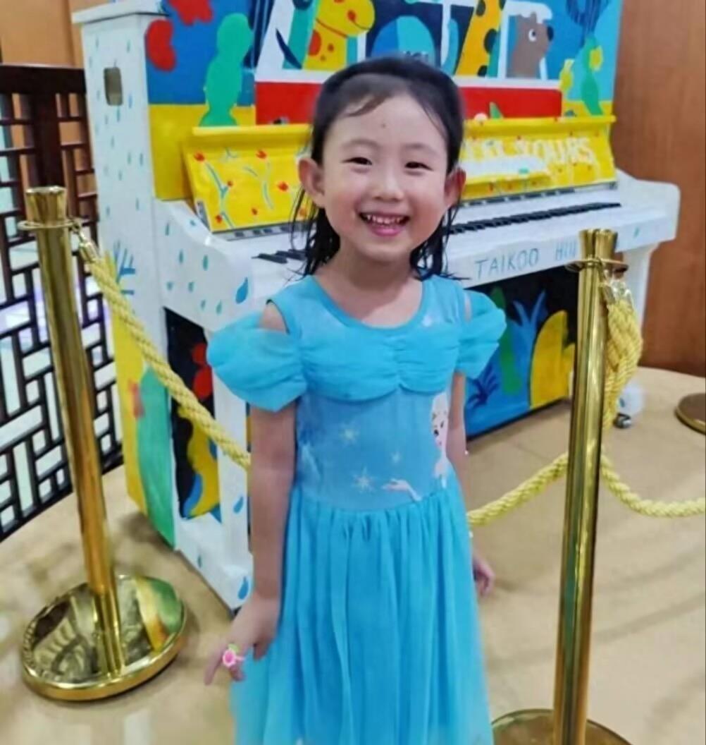 上海失蹤女孩最新消息及尋找失蹤人口步驟指南，初學(xué)者與進階用戶關(guān)注焦點全解析