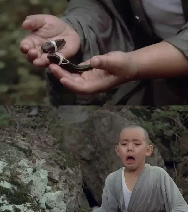 最新情欲電影，情感細膩與激情碰撞的視覺盛宴