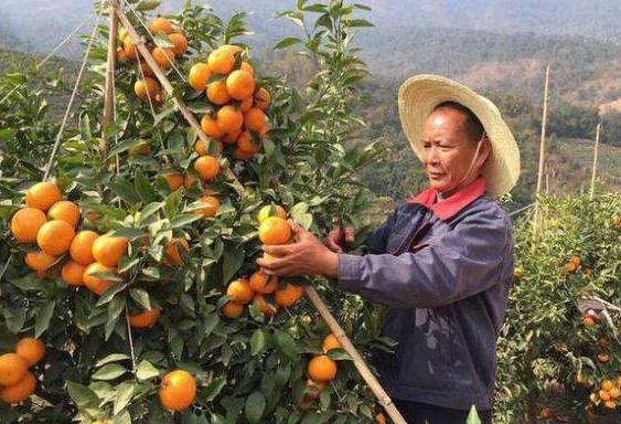 探索未來黃金機(jī)遇，最新創(chuàng)業(yè)好項(xiàng)目大盤點(diǎn)！