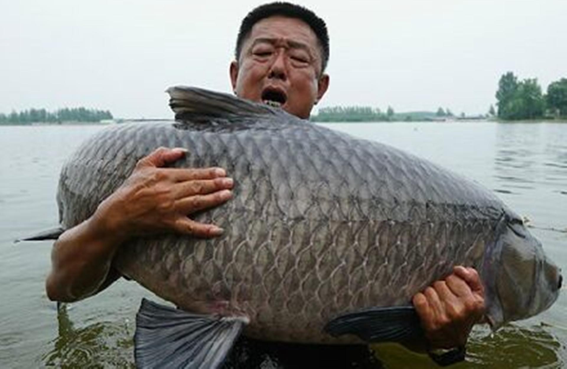 李大毛最新釣魚視頻，湖畔的靜謐時(shí)光