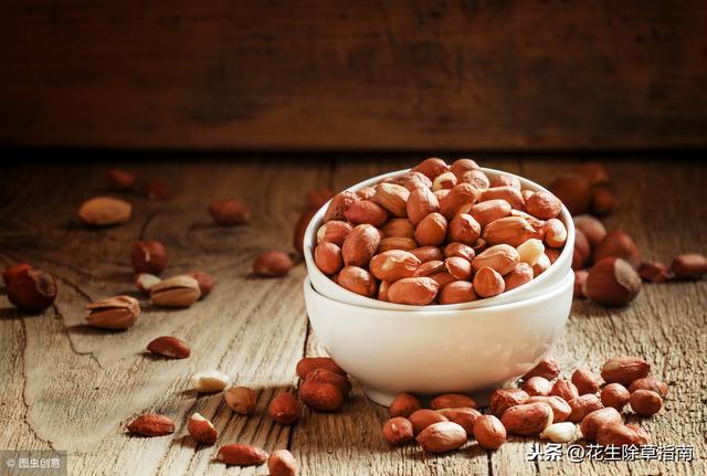 河南花生米最新價格行情，市場分析、趨勢預(yù)測及科普解讀