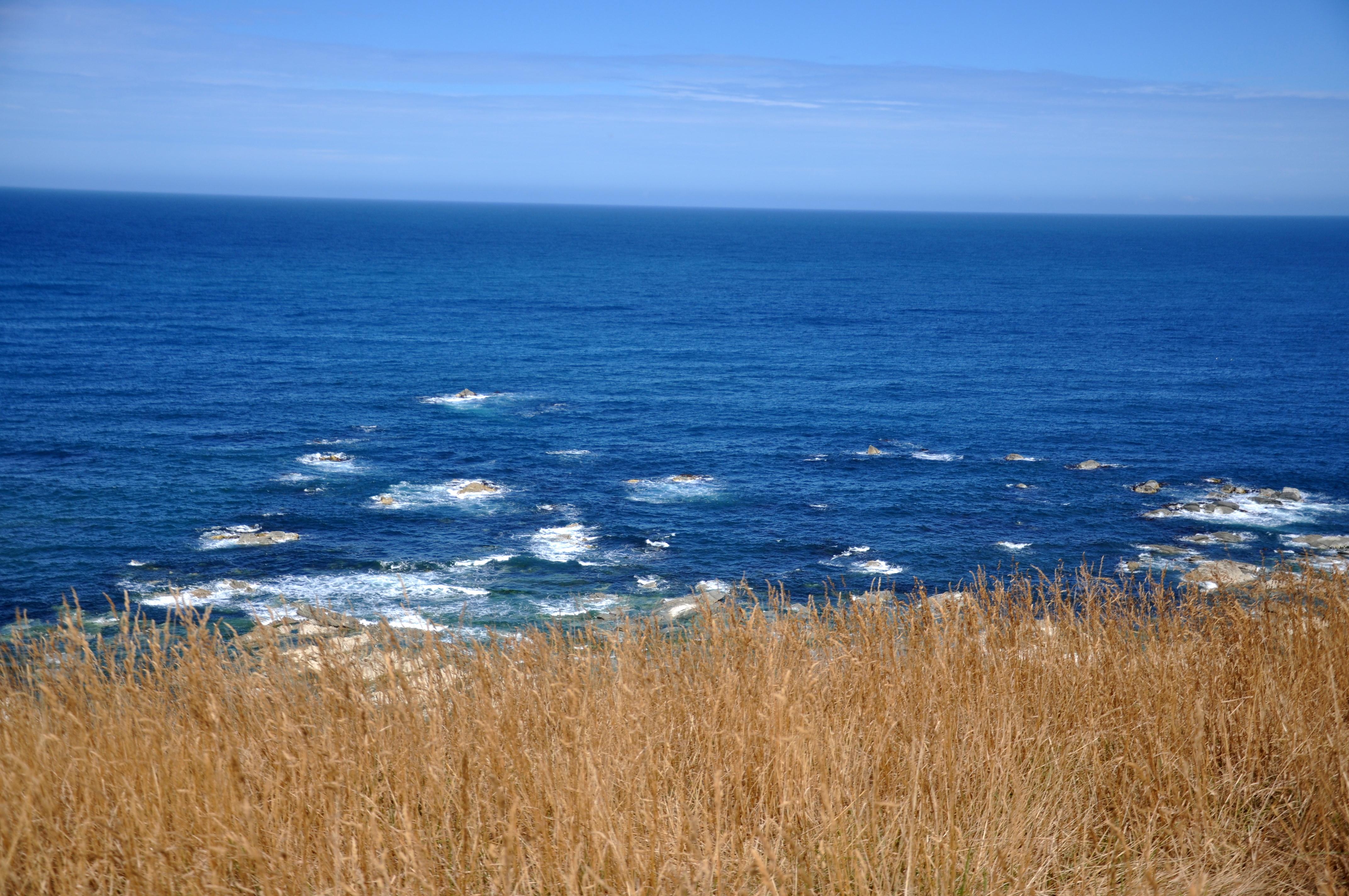 新西蘭地震最新動(dòng)態(tài)與影響概述