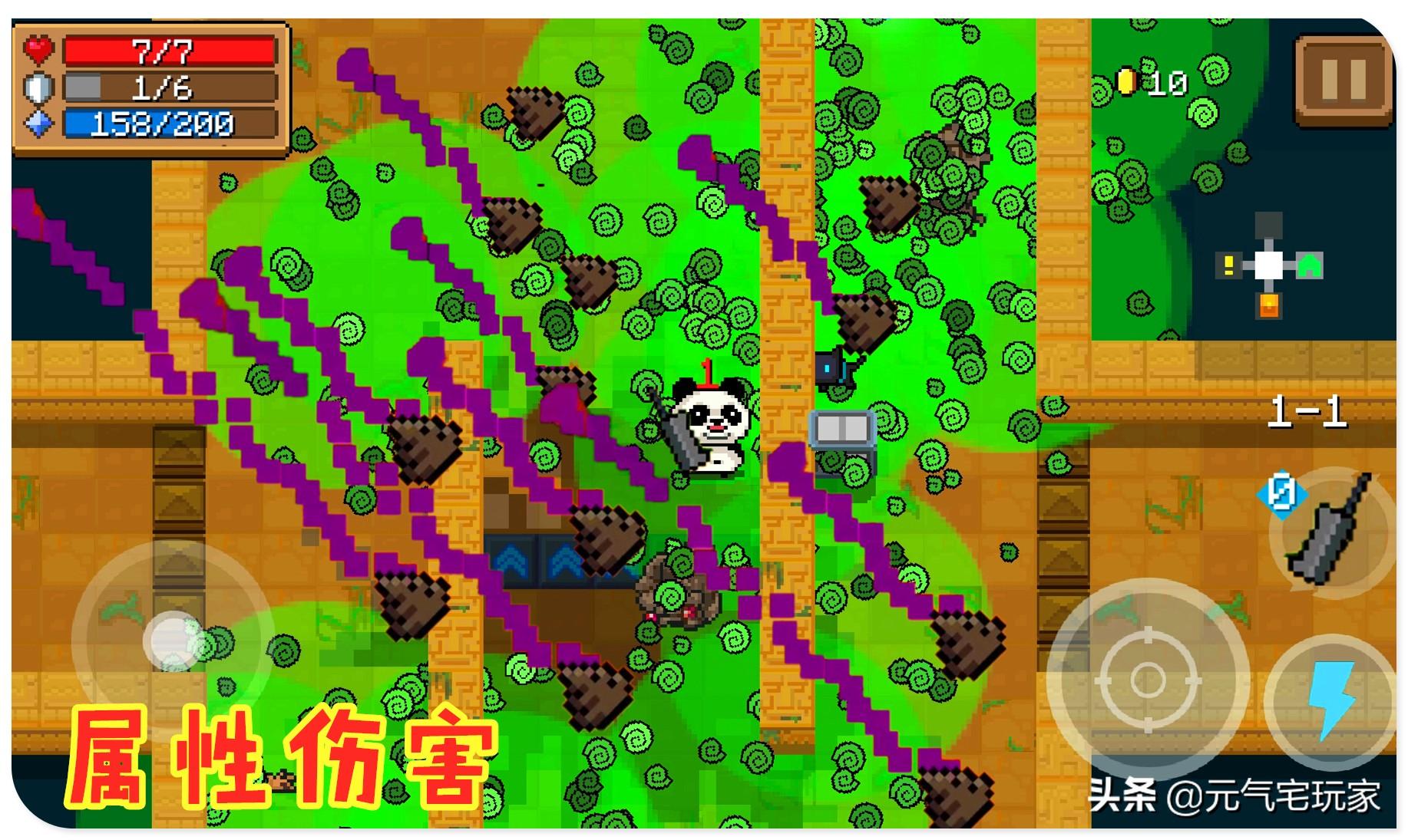 元?dú)怛T士最新冒險(xiǎn)之旅，日常趣事記錄