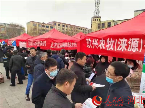 淶源縣招聘網(wǎng)最新招聘信息，探尋職業(yè)發(fā)展熱門(mén)機(jī)會(huì)