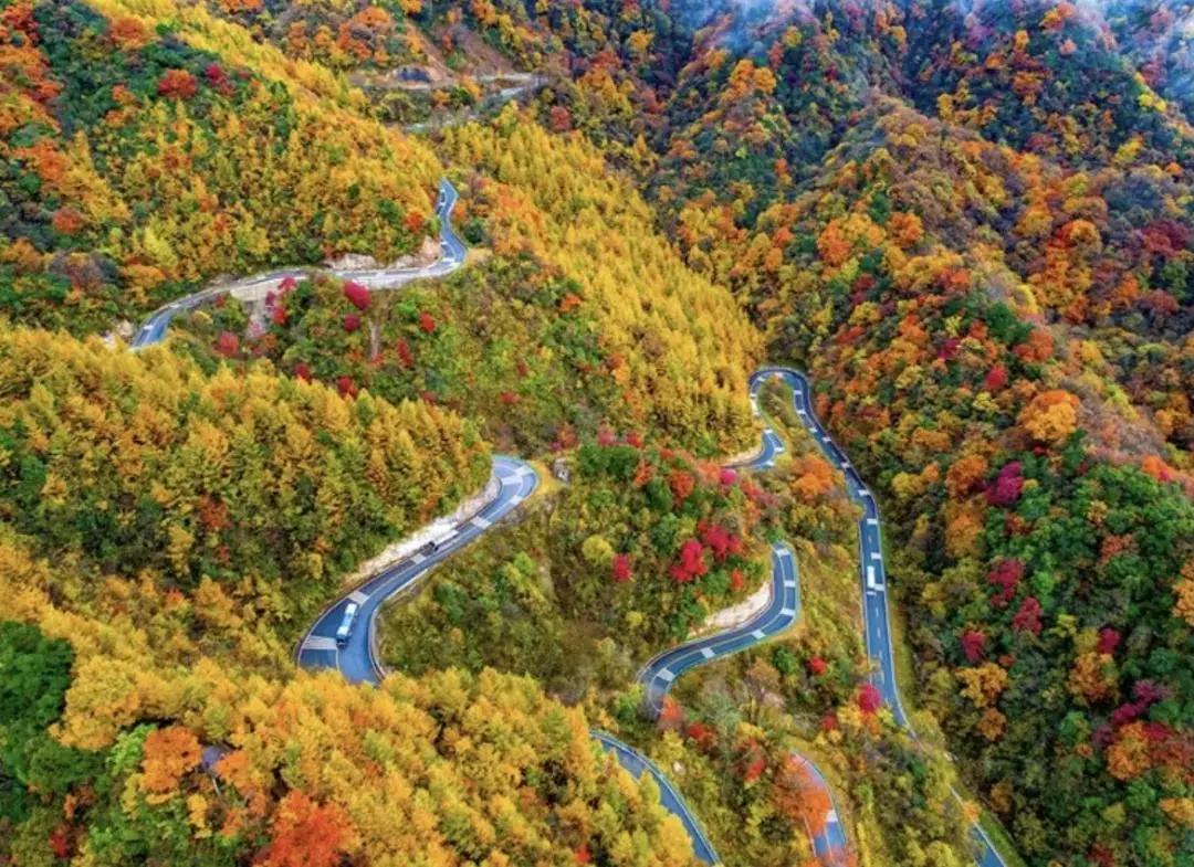 光霧山旅游攻略最新更新，一場愛與陪伴的溫馨之旅