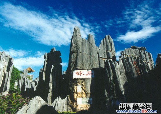 石林縣城最新招聘，雙休工作職位熱招中