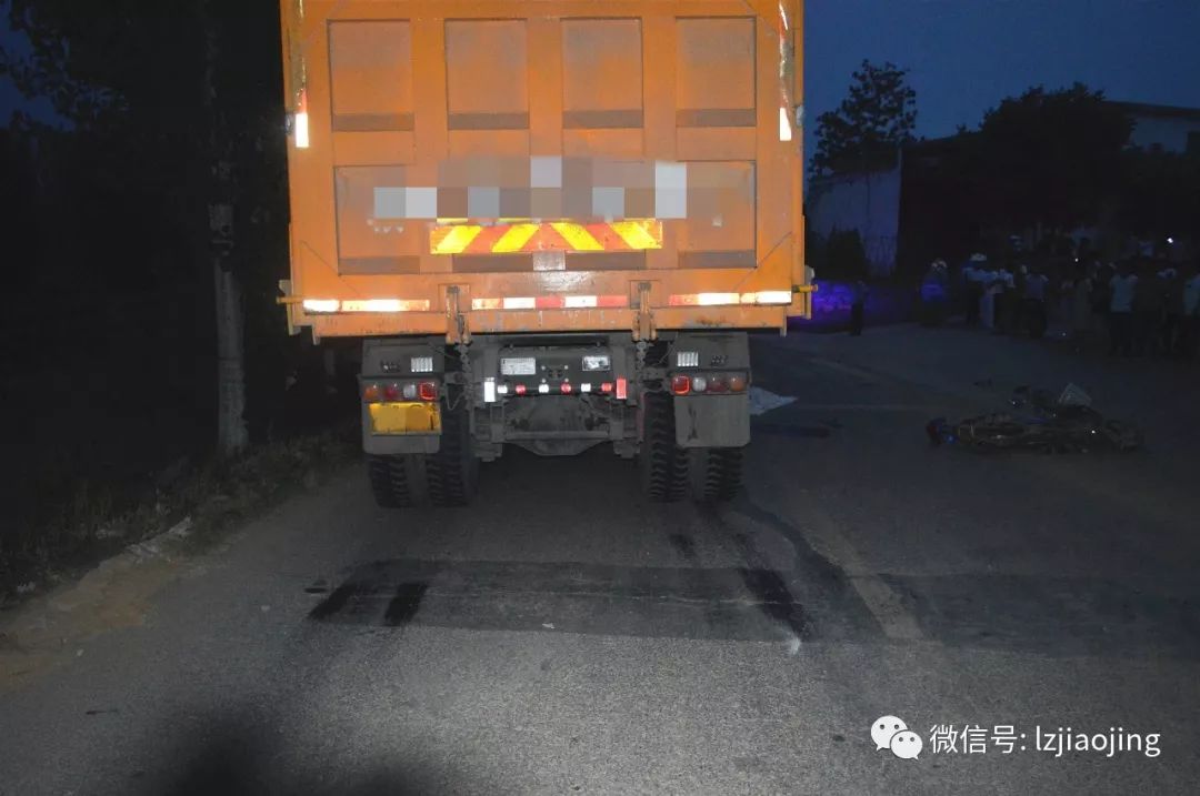 林州車(chē)禍最新消息，深度分析與探討