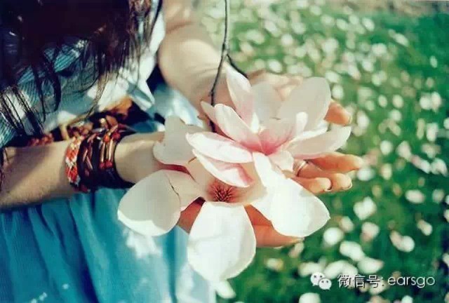 不做你的女人最新章節(jié)深度解析，情感糾葛中的新篇章探秘