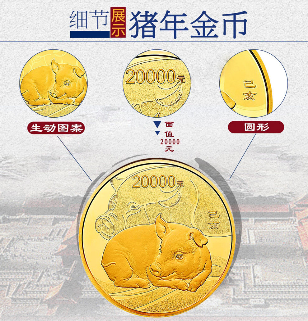 豬年紀(jì)念幣最新價(jià)格分析與論述，最新市場(chǎng)動(dòng)態(tài)揭秘！