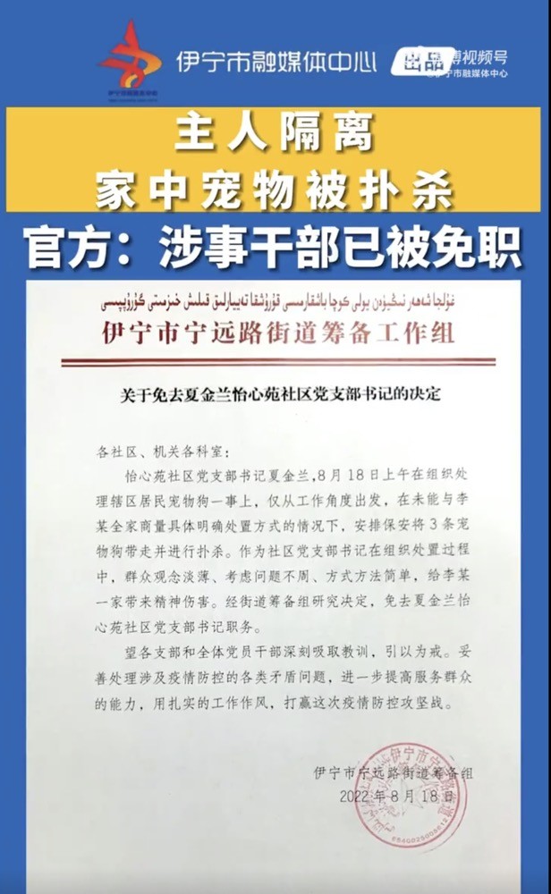 伊寧市最新干部任免動(dòng)態(tài)更新
