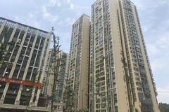 溫江光華之心，自然美景探索之旅的心靈覺醒與最新動(dòng)態(tài)