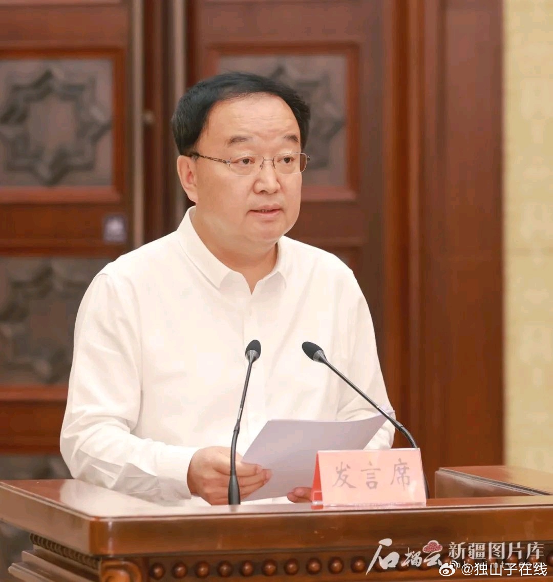 新疆林業(yè)廳廳長上任指南，學(xué)習(xí)與任務(wù)完成步驟詳解