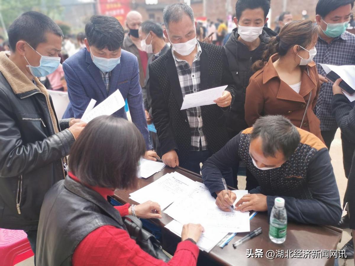 陽新最新招聘信息，科技革新引領(lǐng)職場新篇章